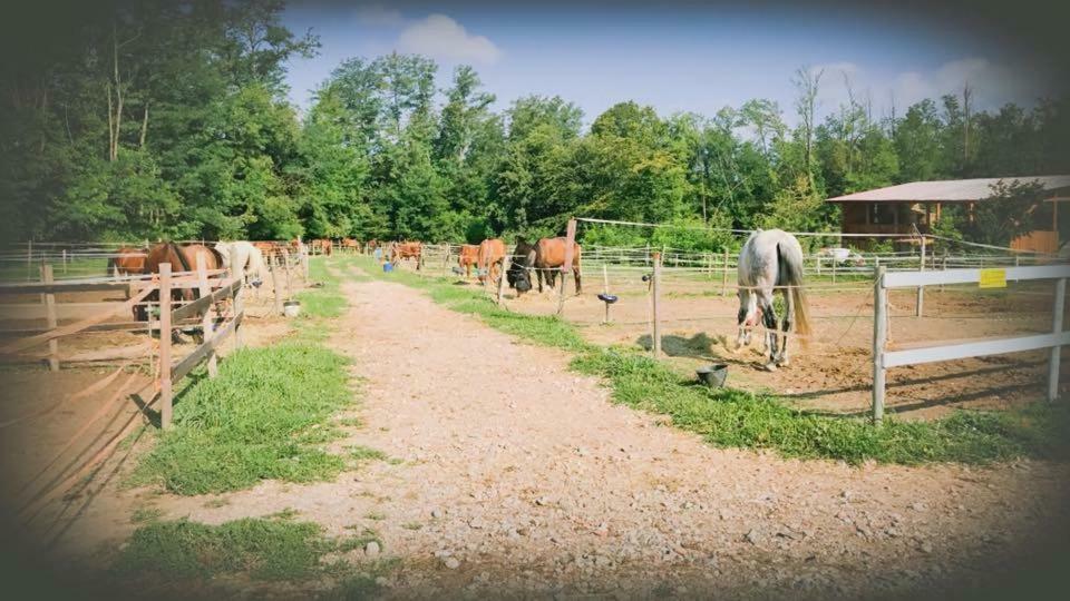 Agriturismo La Fornace Centro Ippico Como Ngoại thất bức ảnh