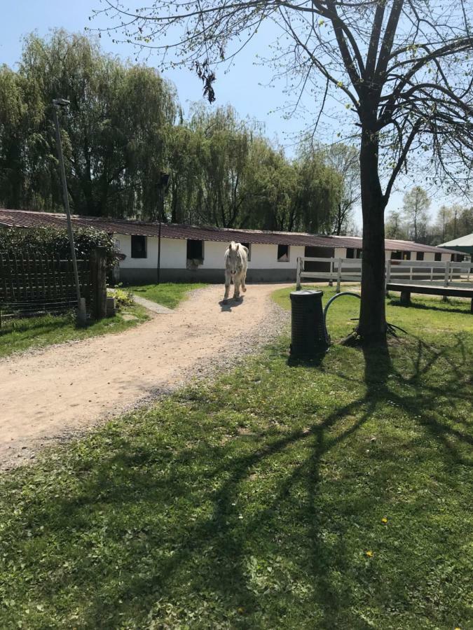 Agriturismo La Fornace Centro Ippico Como Ngoại thất bức ảnh